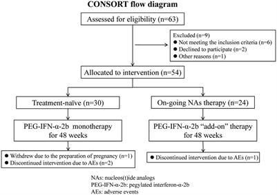 Safety and efficacy of 48-week pegylated interferon-α-2b therapy in patients with hepatitis B virus-related compensated liver cirrhosis: a pilot observational study